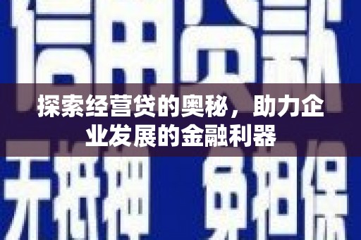 新林探索经营贷的奥秘，助力企业发展的金融利器