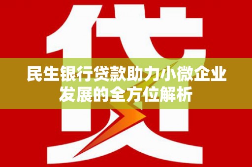新林民生银行贷款助力小微企业发展的全方位解析