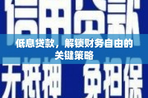 新林低息贷款，解锁财务自由的关键策略