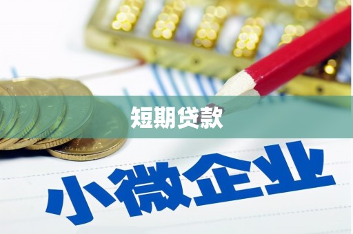 新林短期贷款