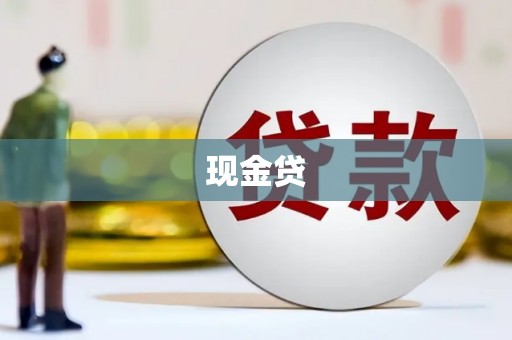 新林现金贷
