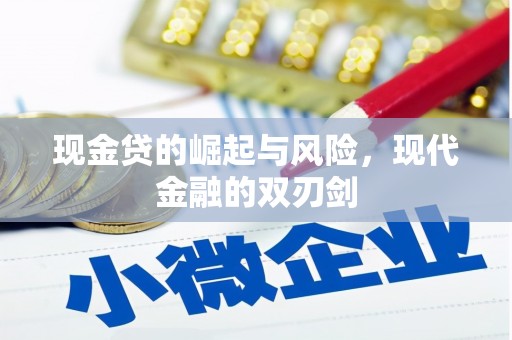 新林现金贷的崛起与风险，现代金融的双刃剑