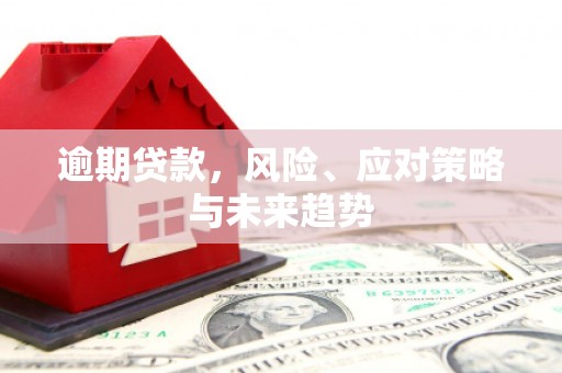 新林逾期贷款，风险、应对策略与未来趋势