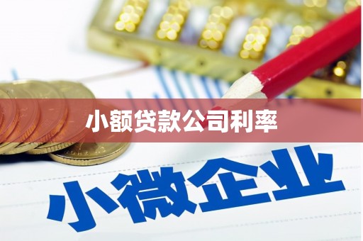 新林小额贷款公司利率