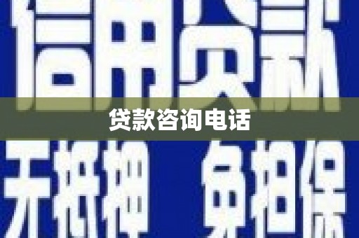 新林贷款咨询电话
