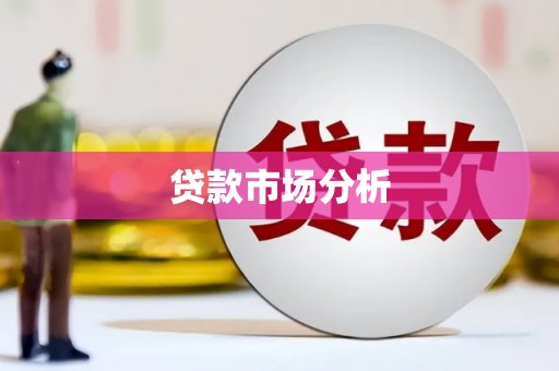 新林贷款市场分析