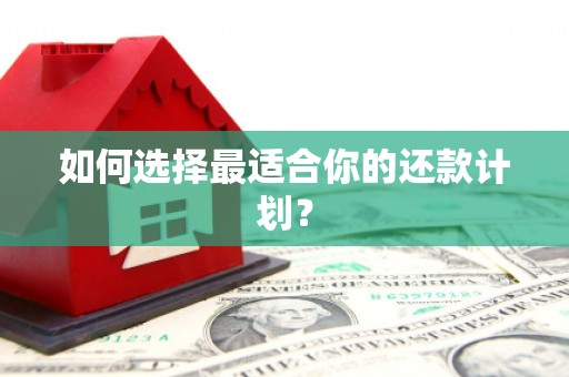 新林如何选择最适合你的还款计划？