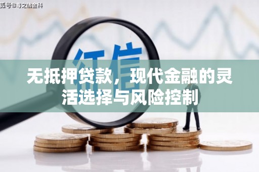 新林无抵押贷款，现代金融的灵活选择与风险控制