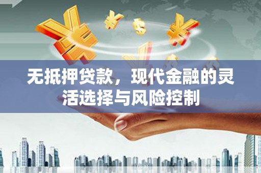 新林无抵押贷款，现代金融的灵活选择与风险控制