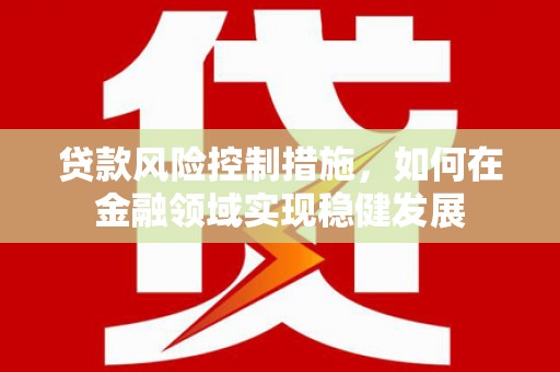 新林贷款风险控制措施，如何在金融领域实现稳健发展