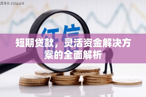 新林短期贷款，灵活资金解决方案的全面解析