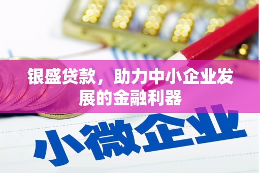 新林银盛贷款，助力中小企业发展的金融利器