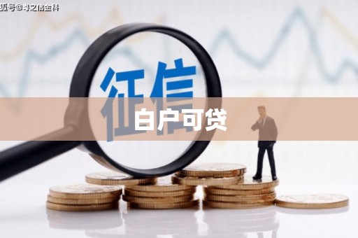 新林白户可贷