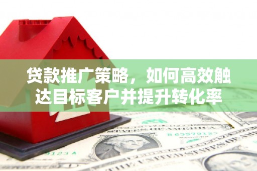 新林贷款推广策略，如何高效触达目标客户并提升转化率