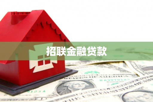 新林招联金融贷款