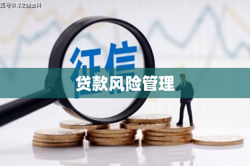 新林贷款风险管理
