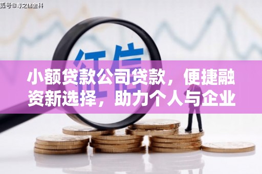 新林小额贷款公司贷款，便捷融资新选择，助力个人与企业成长