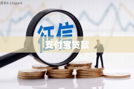 新林支付宝贷款