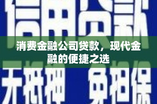 新林消费金融公司贷款，现代金融的便捷之选