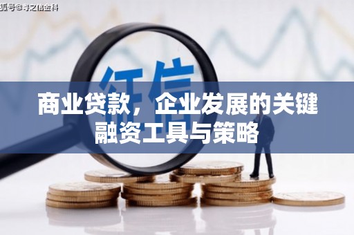 新林商业贷款，企业发展的关键融资工具与策略