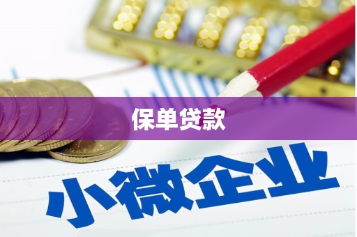 新林保单贷款