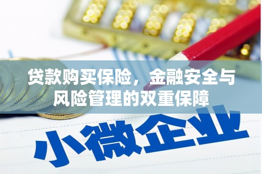 新林贷款购买保险，金融安全与风险管理的双重保障