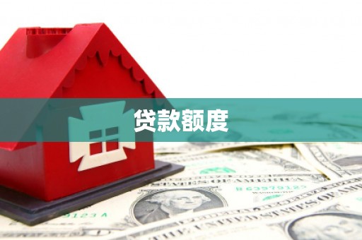 新林贷款额度