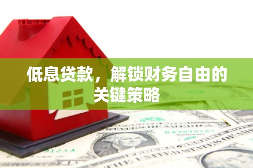 新林低息贷款，解锁财务自由的关键策略