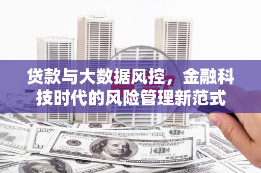 新林贷款与大数据风控，金融科技时代的风险管理新范式