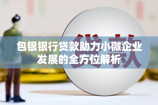 新林包银银行贷款助力小微企业发展的全方位解析