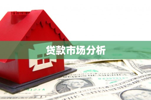新林贷款市场分析