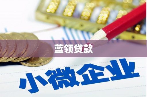 新林蓝领贷款
