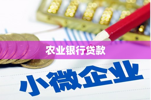 新林农业银行贷款