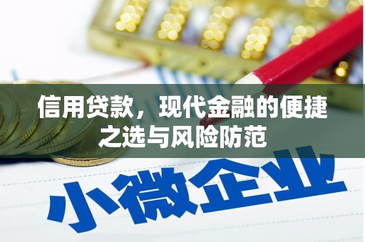 新林信用贷款，现代金融的便捷之选与风险防范