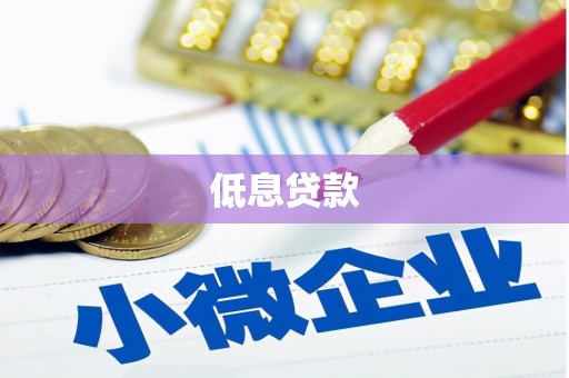 新林低息贷款