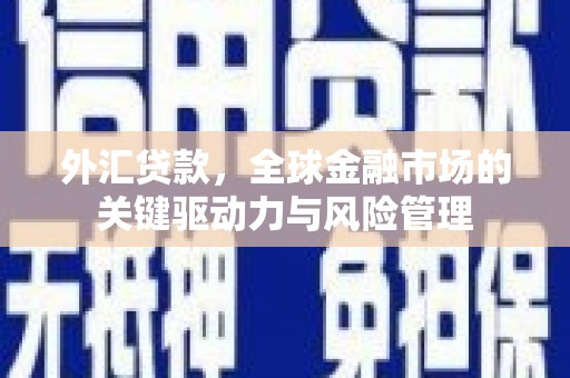 新林外汇贷款，全球金融市场的关键驱动力与风险管理
