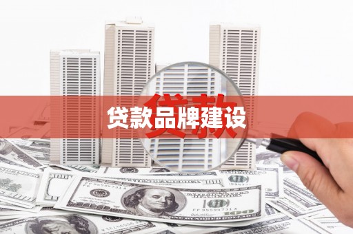 新林贷款品牌建设