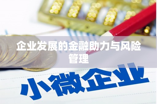 新林企业发展的金融助力与风险管理