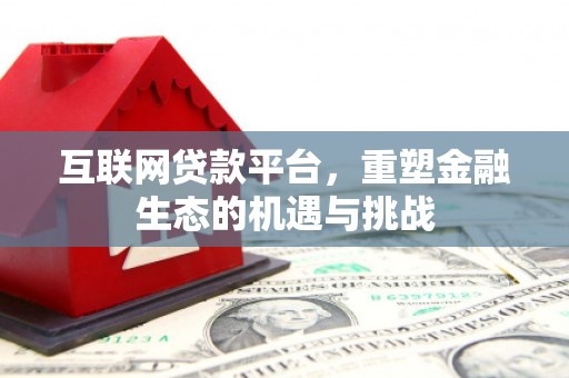 新林互联网贷款平台，重塑金融生态的机遇与挑战