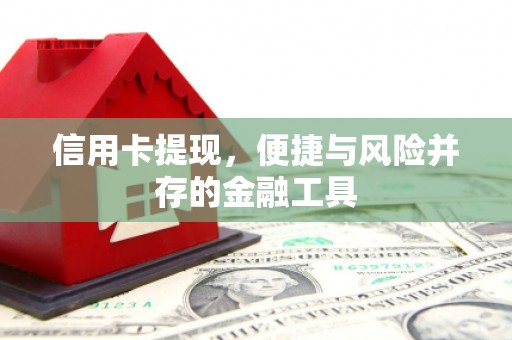 新林信用卡提现，便捷与风险并存的金融工具