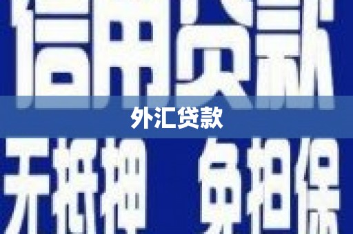 新林外汇贷款