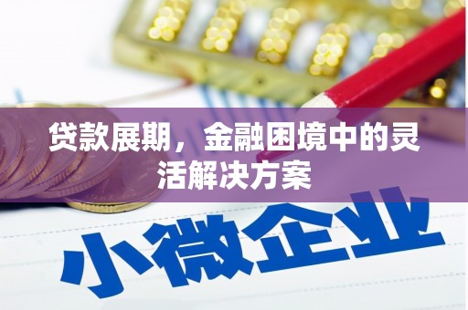 新林贷款展期，金融困境中的灵活解决方案