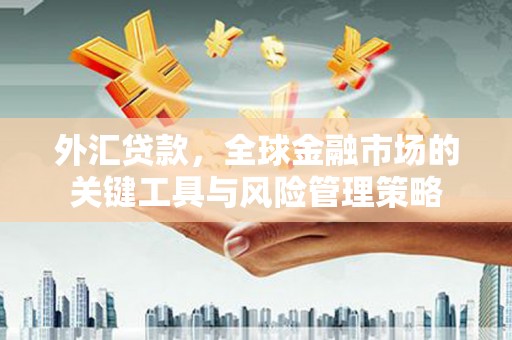 新林外汇贷款，全球金融市场的关键工具与风险管理策略