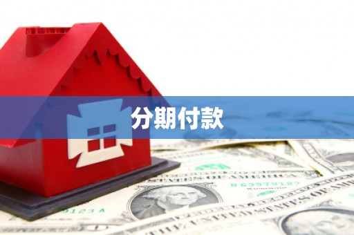 新林分期付款