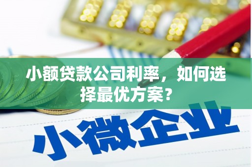 新林小额贷款公司利率，如何选择最优方案？