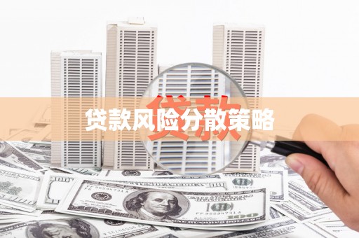 新林贷款风险分散策略