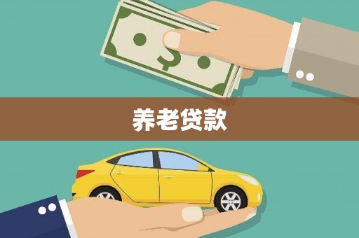 新林养老贷款
