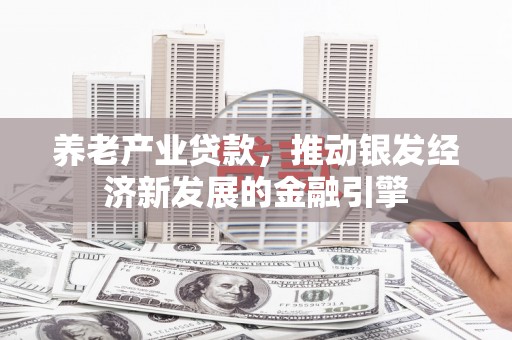 新林养老产业贷款，推动银发经济新发展的金融引擎