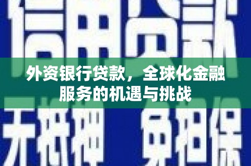 新林外资银行贷款，全球化金融服务的机遇与挑战