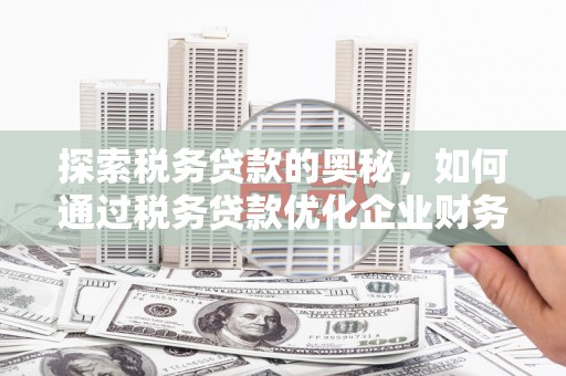 新林探索税务贷款的奥秘，如何通过税务贷款优化企业财务